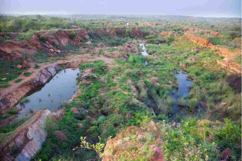 Aravalli Biodiversity Park