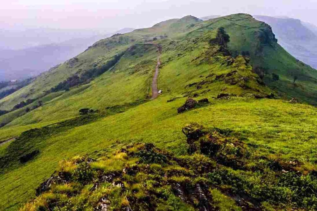 things to do in chikkamagaluru