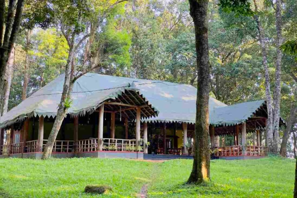 Eco Resorts and Homestays in Wayanad