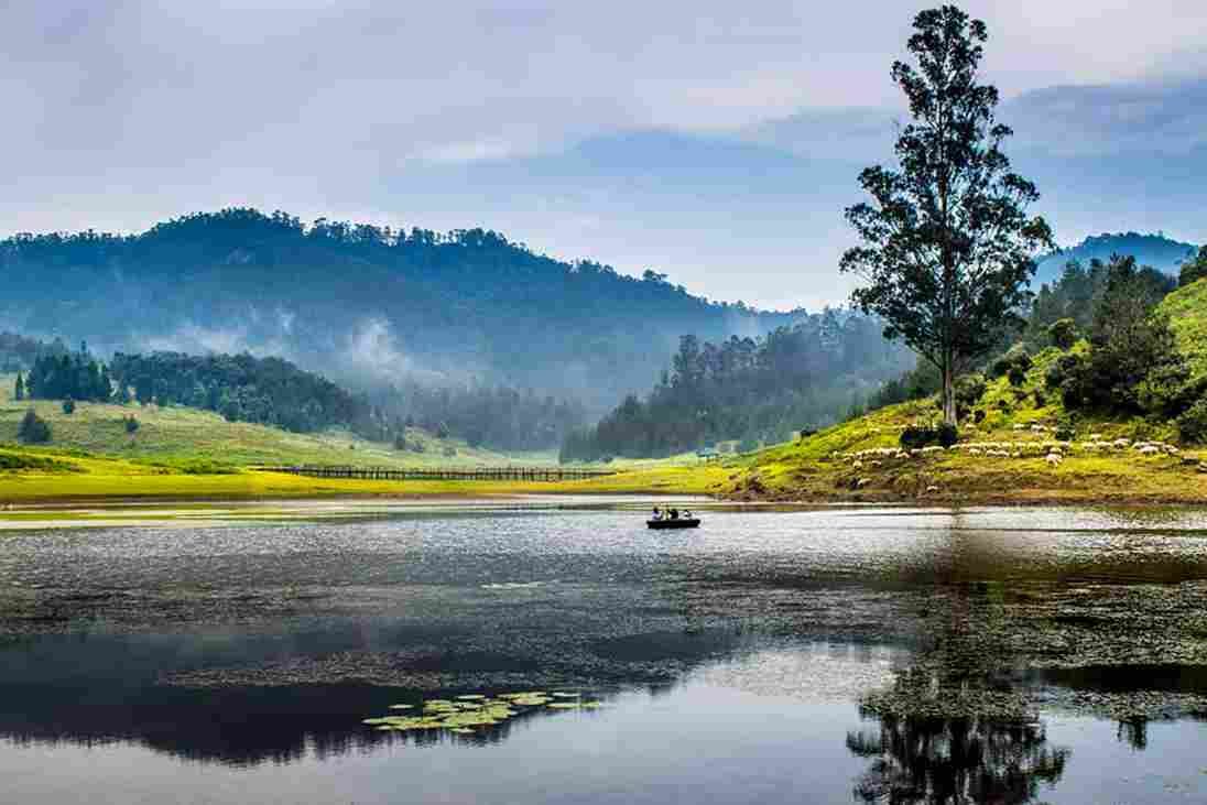 things to do in kodaikanal