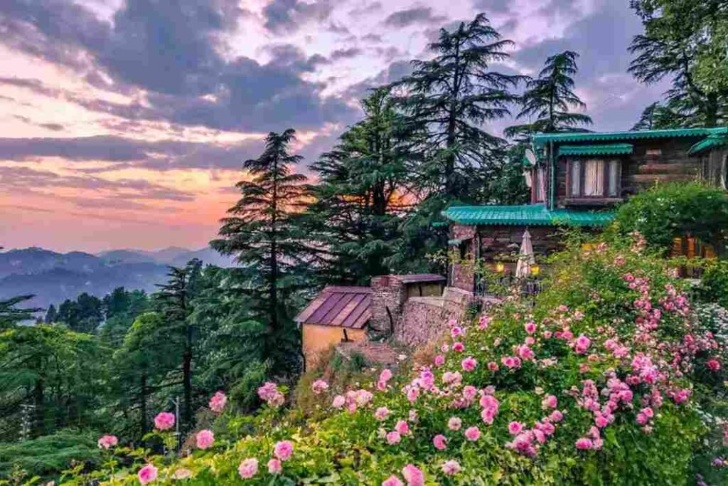 Landour Area