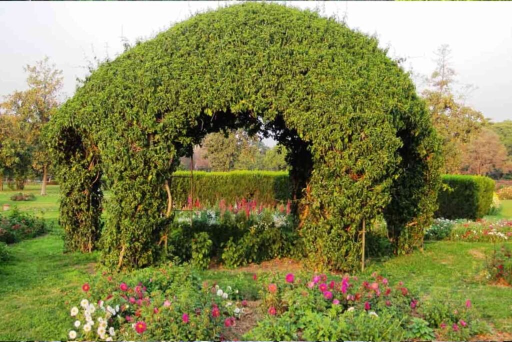 Chandigarh Leisure Valley