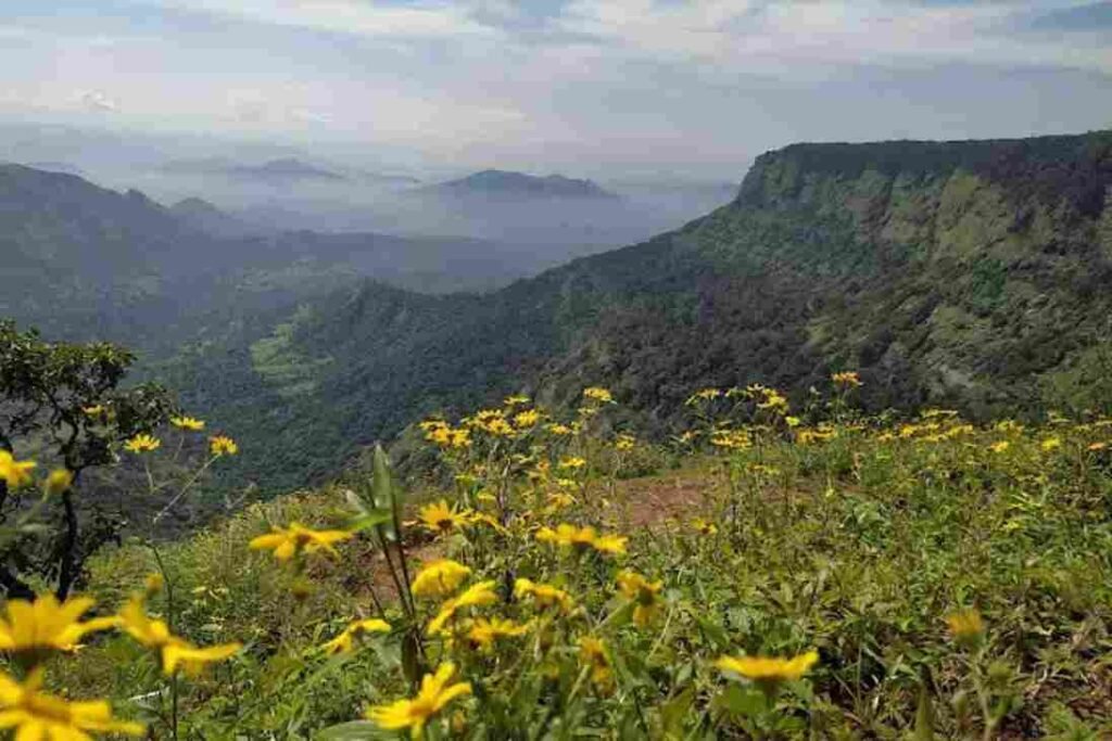 Matheran Alexander Point