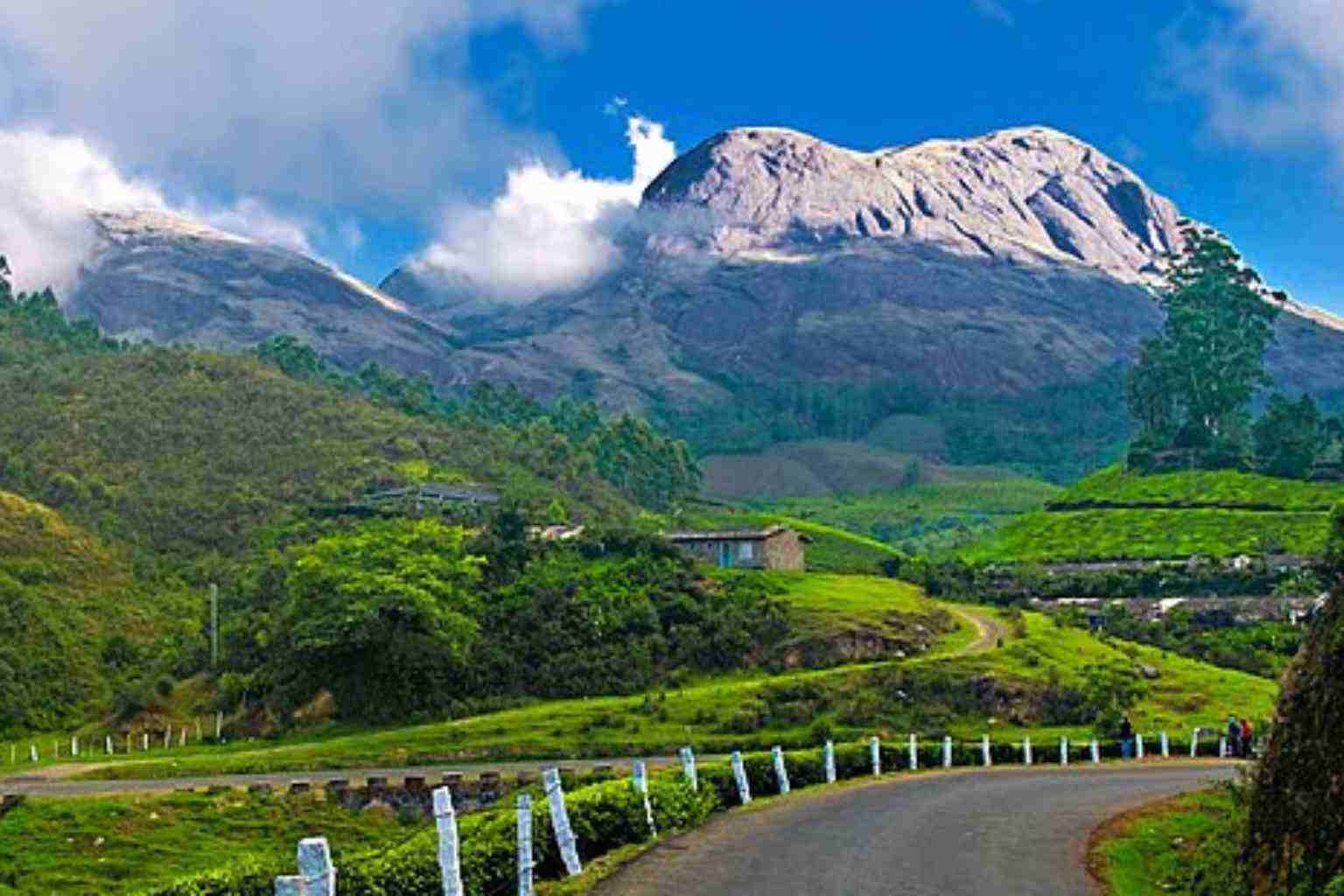 things to do in munnar
