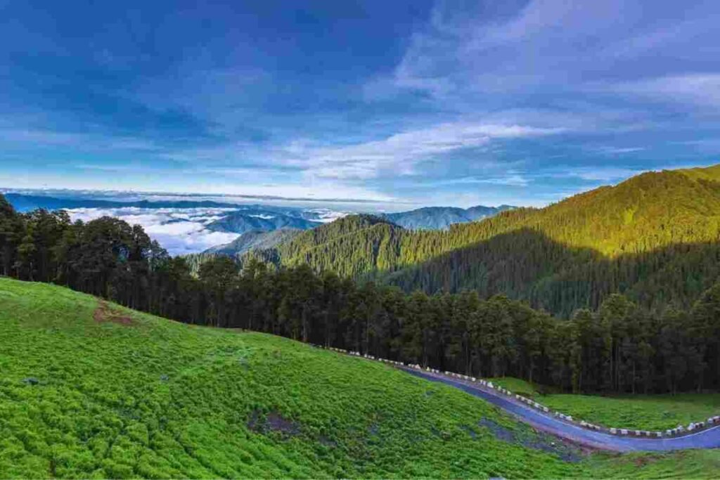 Nature Photography in Jibhi