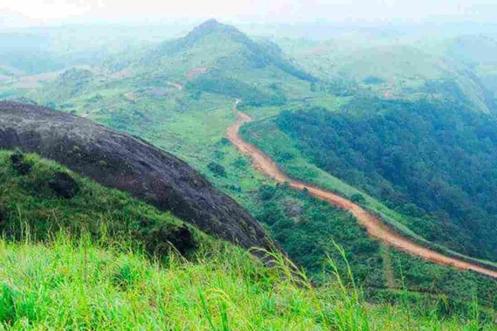 Nature Walks and Short Treks