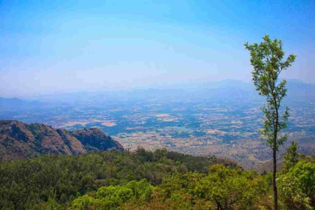 Yercaud Pagoda Point