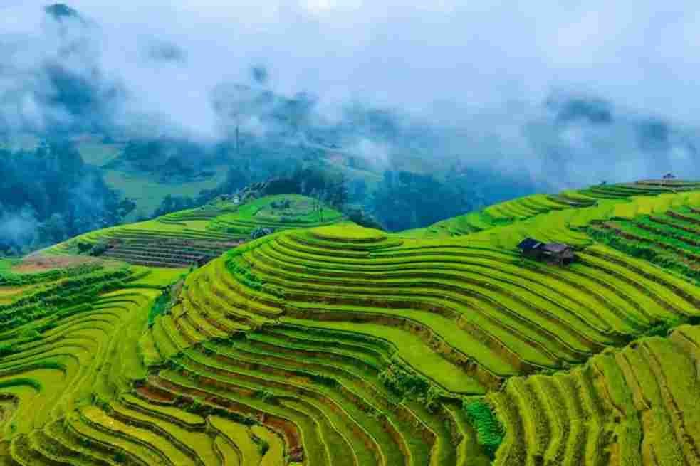 Sapa and Rice Terraces