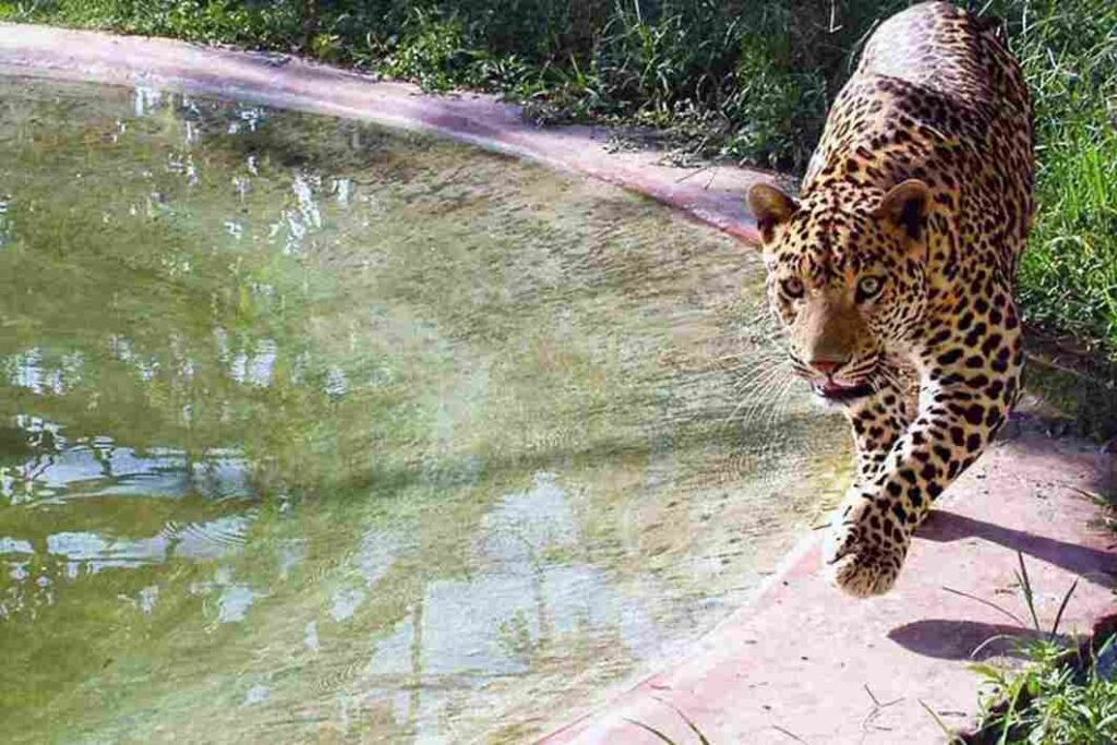 Sarthana Nature Park