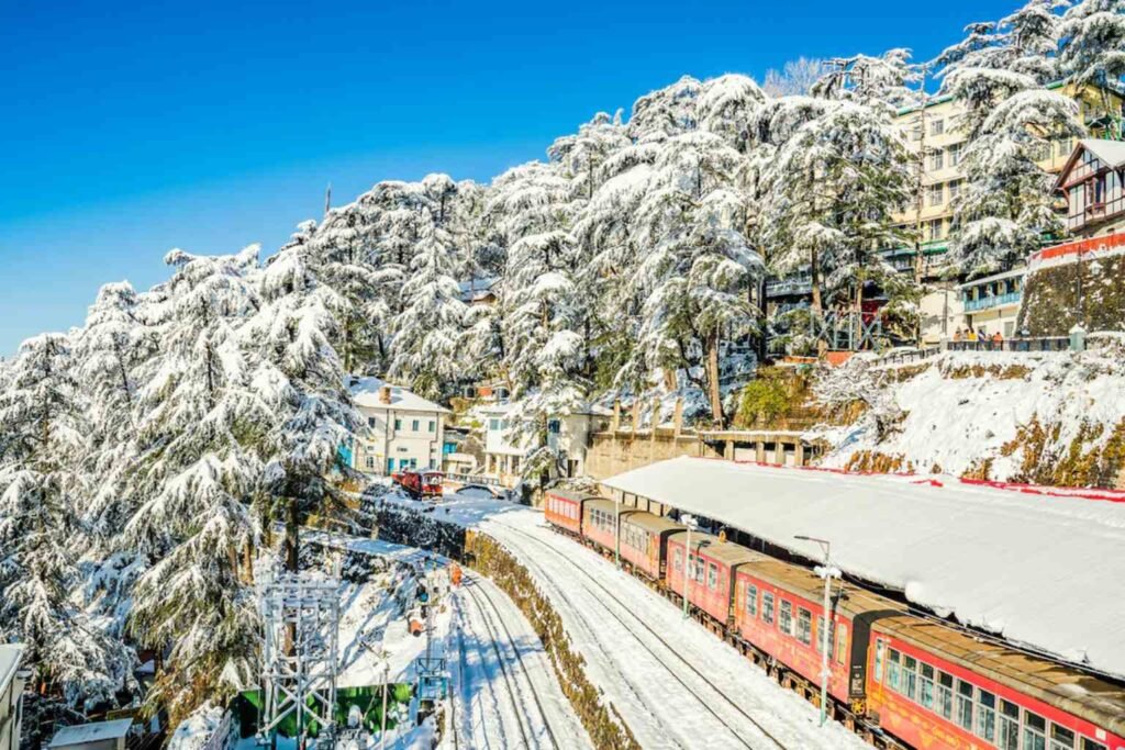 things to do in shimla