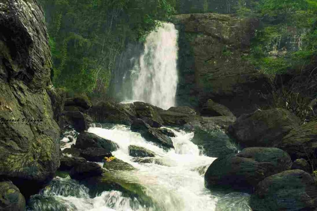 Soochipara Waterfalls