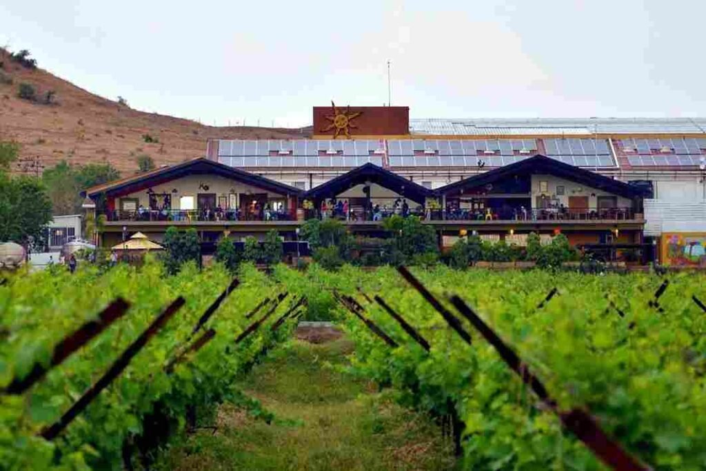 Sula Vineyards