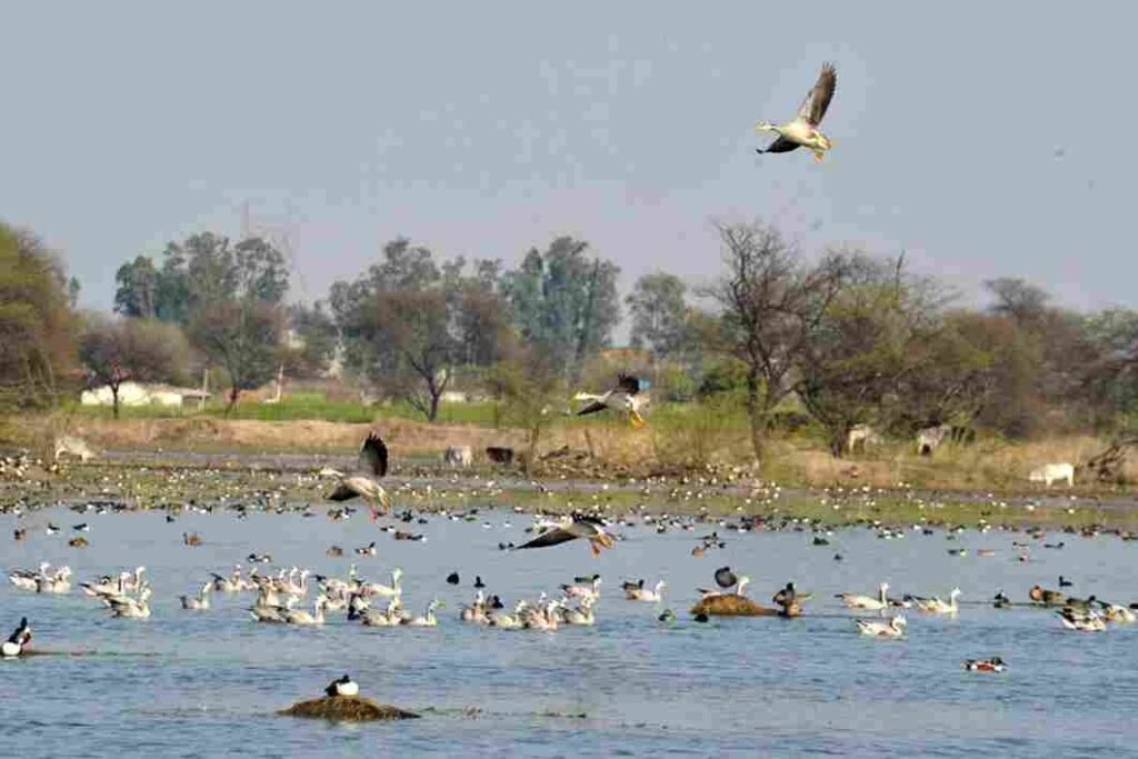 Sultanpur National Park