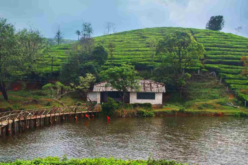 things to do in vagamon