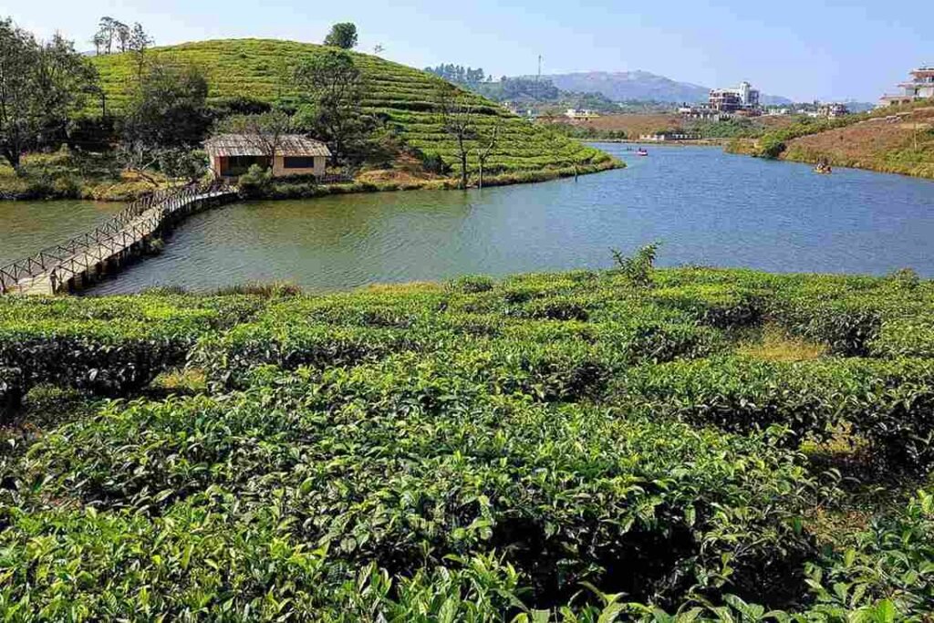 Vagamon Lake