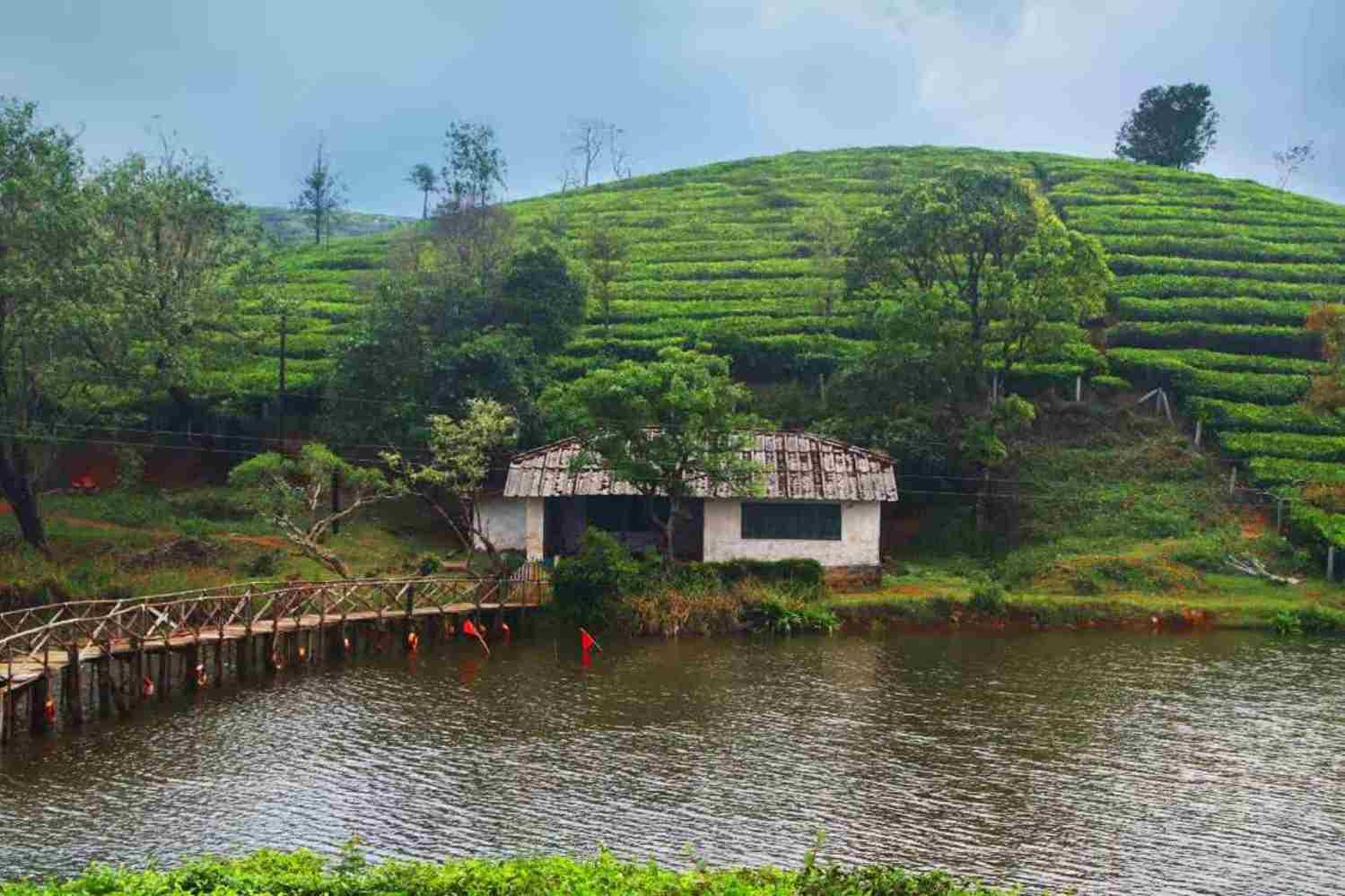 things to do in vagamon