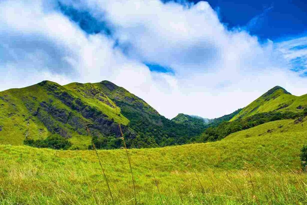 things to do in wayanad