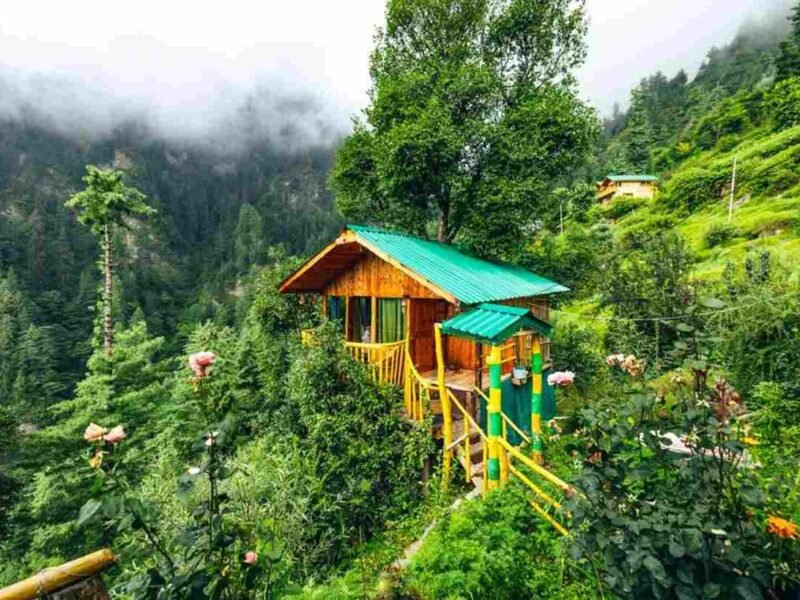 things to do in jibhi