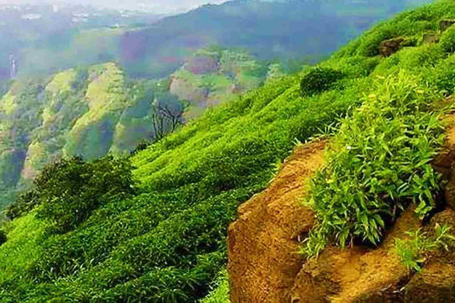 things to do in yelagiri